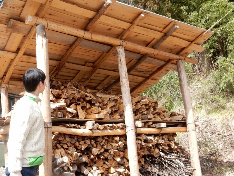 半田さんの割った薪